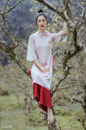 Set Áo dài Đào Chi hồng D.CHIC MS: 1831854