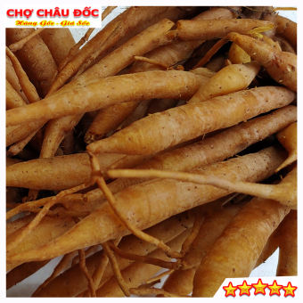 250gr Củ Ngãi Bún Châu Đốc Dùng Nấu Bún Mắm, Lẩu Mắm, Bún Cá, Bún Nước Lèo, Bún Bò Hóc...