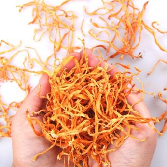 đông trùng hạ thảo 100g