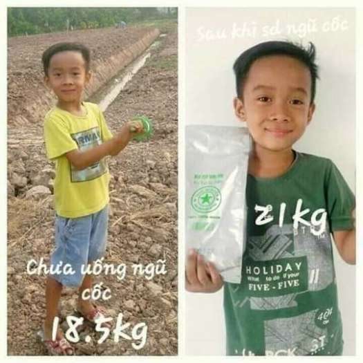 Combo 2 Hộp Bột Ngũ Cốc Tăng Cân Hoa Bạch Hải Đường