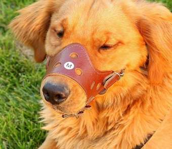 Rọ mõm chó bằng da mềm mại có các lổ và khe thông hơi- BỊt mỏ chó cưng