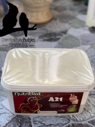 500g bột Nutribird A21 giàu dinh dưỡng cho vẹt non_XUẤT XỨ: BỈ - date mới.