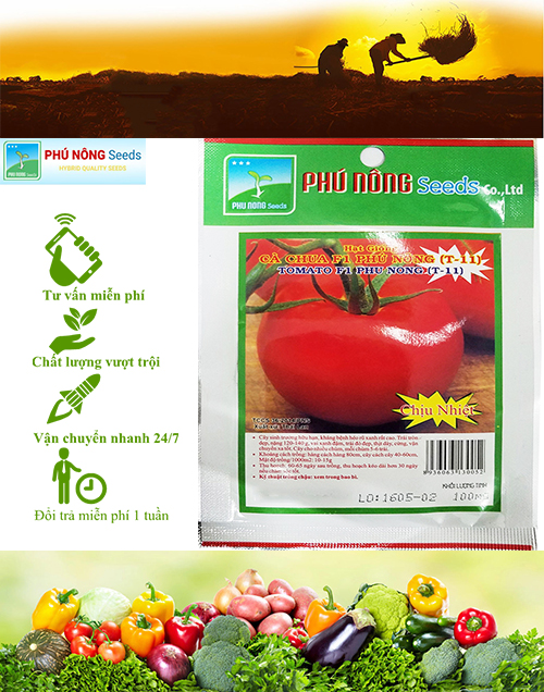 [HCM]Hạt Giống Cà Chua F1 Phú Nông (T-11) PN 0.1Gram- Phân loại 1 gói và 10 gói