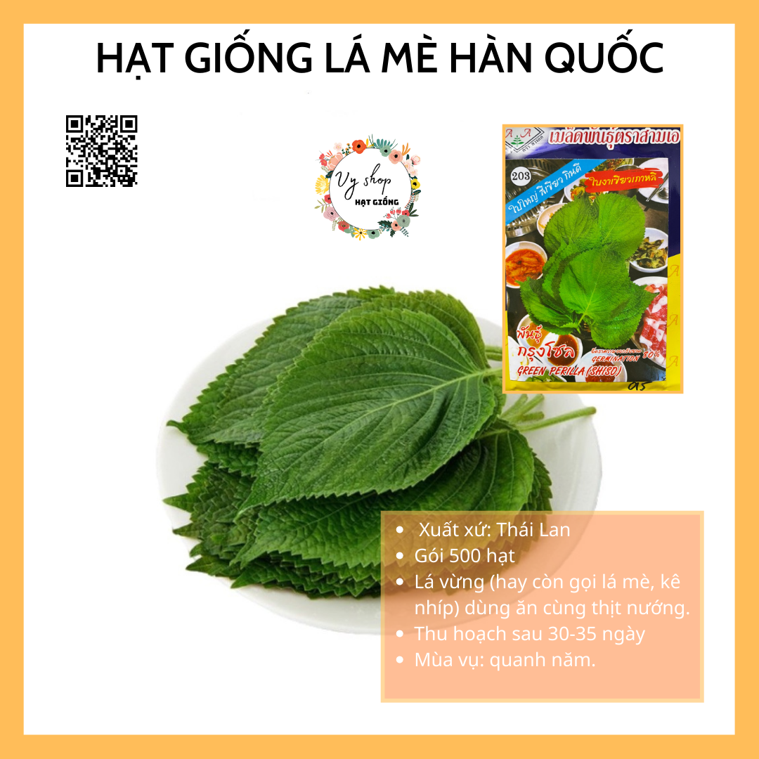 Hạt giống lá mè Hàn Quốc