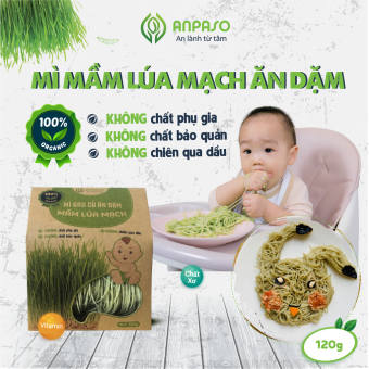 Mì Ăn Dặm Hữu Cơ Mầm Lúa Mạch Organic Anpaso BLW, kiểu Nhật cho bé từ 7 tháng bổ sung chất xơ, cải thiện táo bón 120g