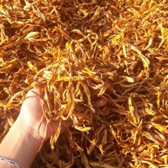 Hoa Kim Châm Khô 100gr loại Đặc Biệt