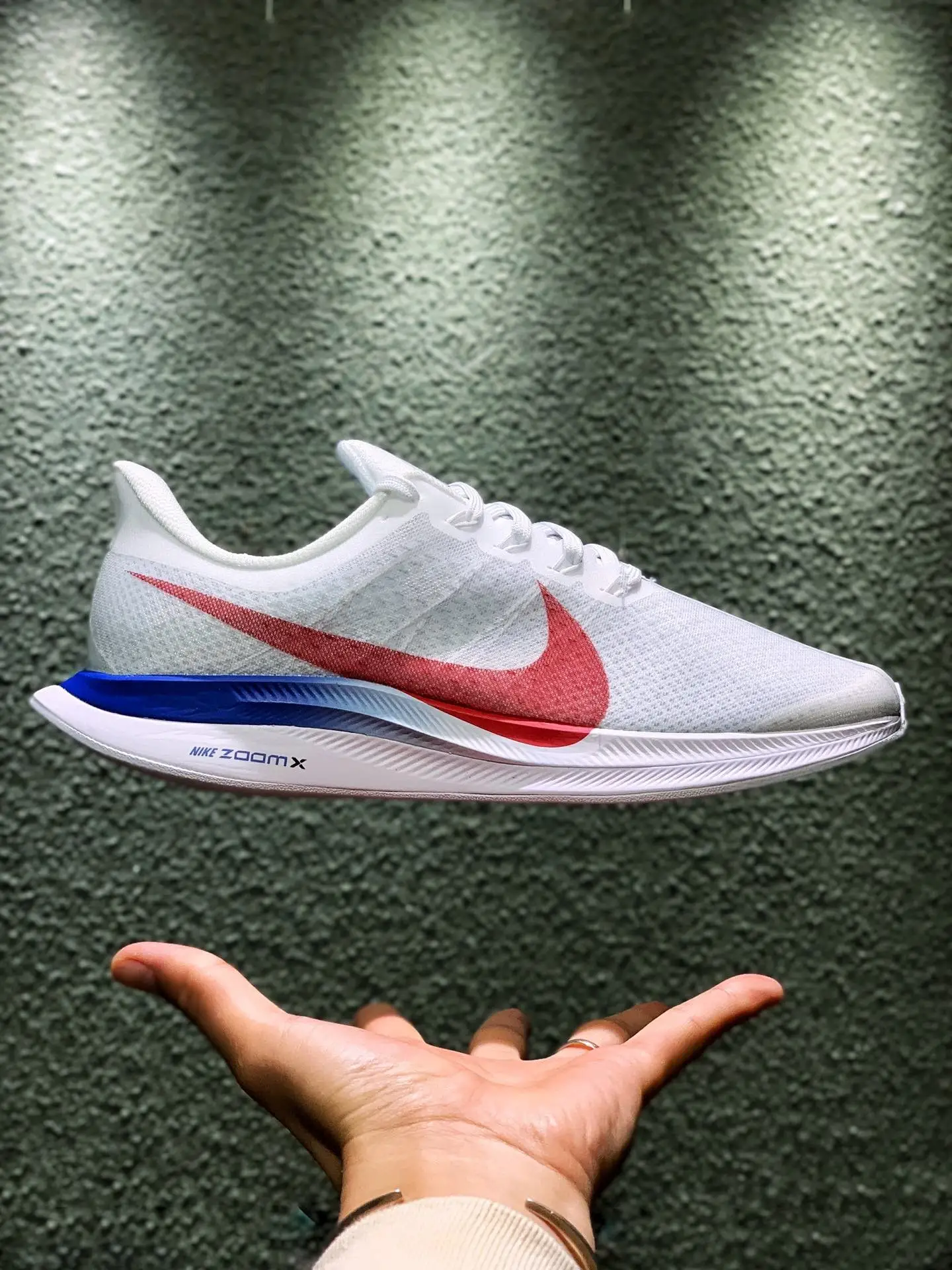 nike zoom pegasus turbo singapore