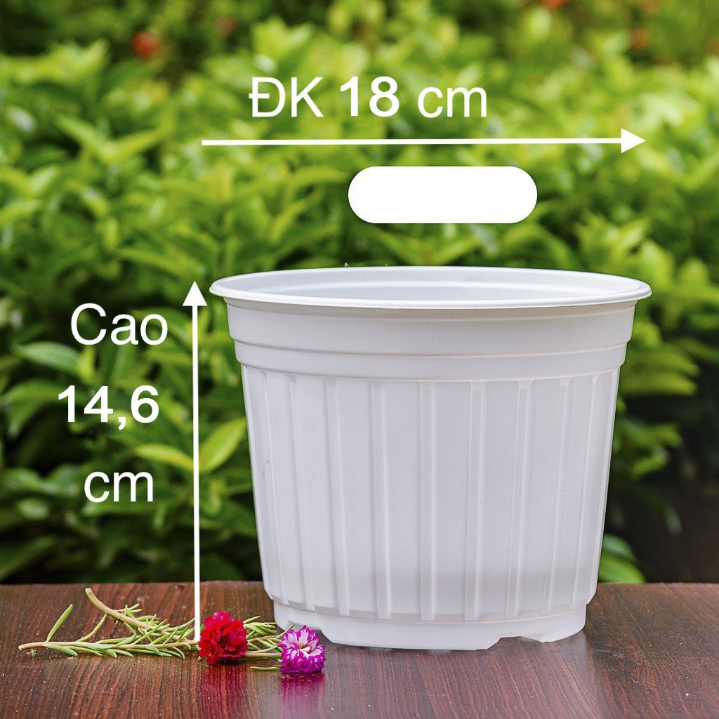 Combo 50 cái Chậu nhựa nâu N18x15cm trồng cây ăn trái và hoa,bền đẹp-77426