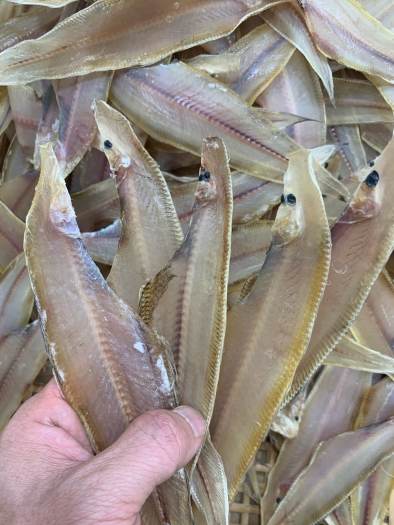 Khô cá biển, Cá lưỡi trâu làm món gì ngon - Khô cá Lưỡi Trâu loại 1 Thơm Ngon, Giàu Dinh Dưỡng - Cam kết 100% từ Tự Nhiên, An Toàn, Không chất Bảo Quản. 1kg, 500gr, 100gr