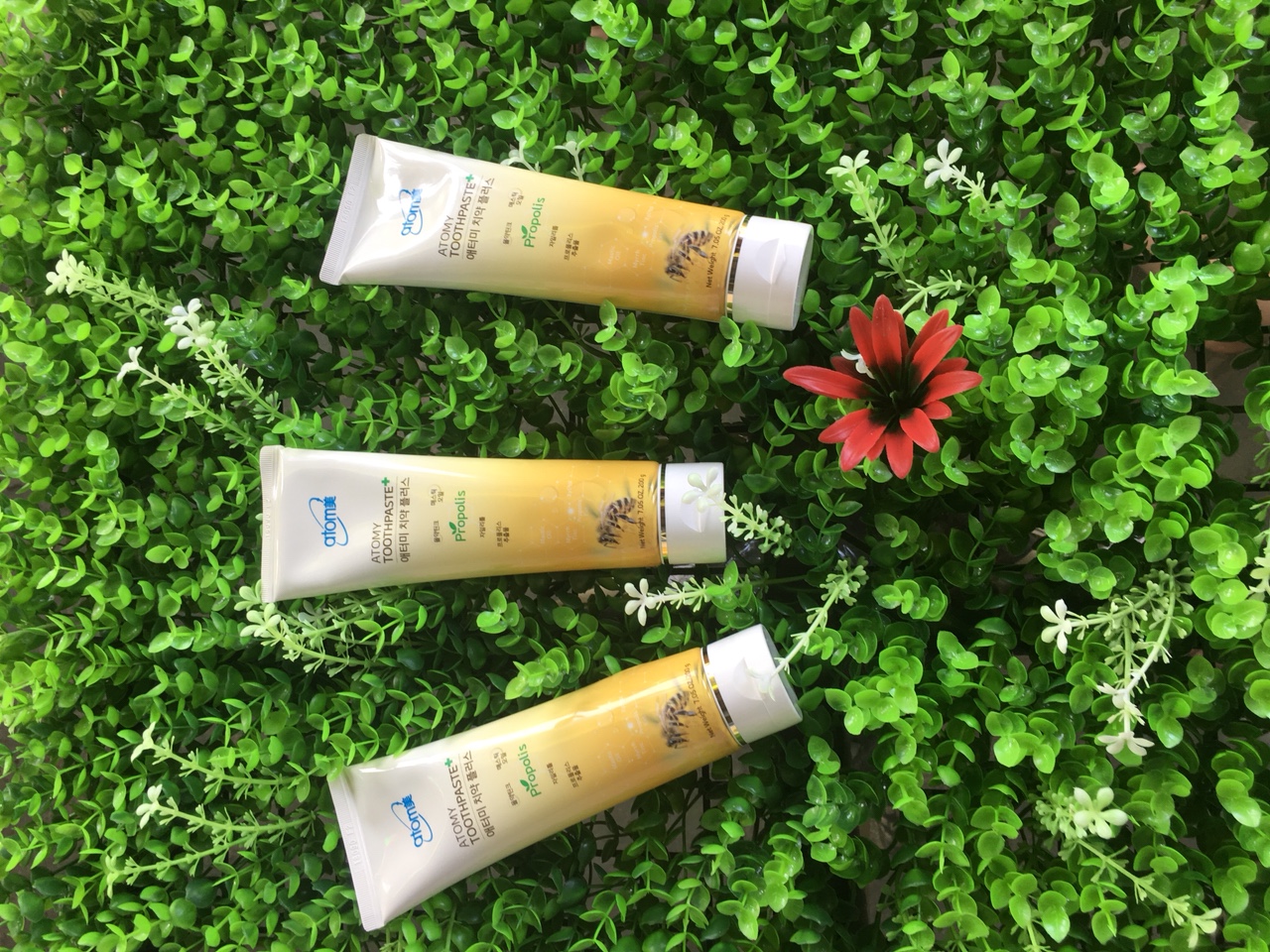 Kem đánh răng từ sáp ong Atomy Toothpaste
