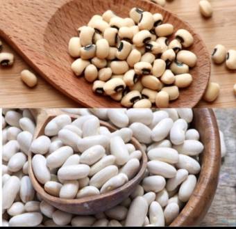 500gr Đậu Trắng Tây