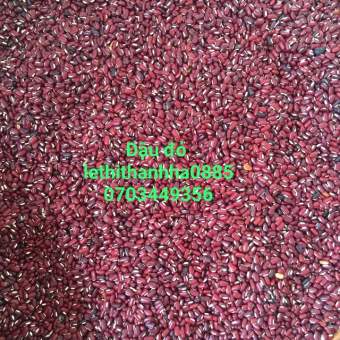 1kg đậu đỏ quê hạt nhỏ