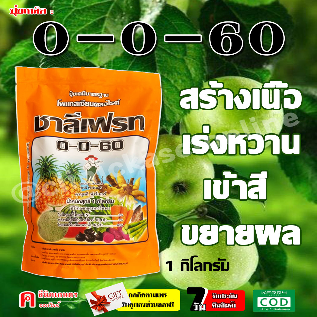 ชาลีเฟรท 0-0-60 ปุ๋ยเกล็ด ( 1 กิโลกรัม ) โพแทสเซียมคลอไรด์ สร้างเนื้อ เร่งหวาน เข้าสี ขยายผล เร่งผล เร่งหัว ฮอร์โมนพืช ปุ๋ย #ชาลีเฟรท