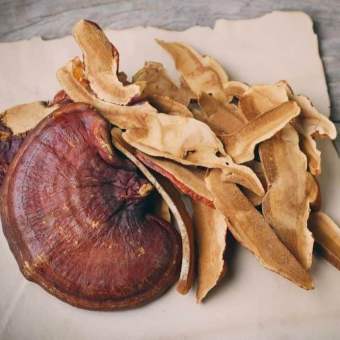 Nấm linh chi đỏ, linh chi thái lát, linh chi ngâm rượu Việt Nguyên