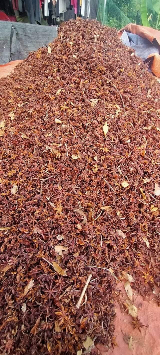 Hoa hồi lạng sơn 1kg - lẻ bằng sỉ