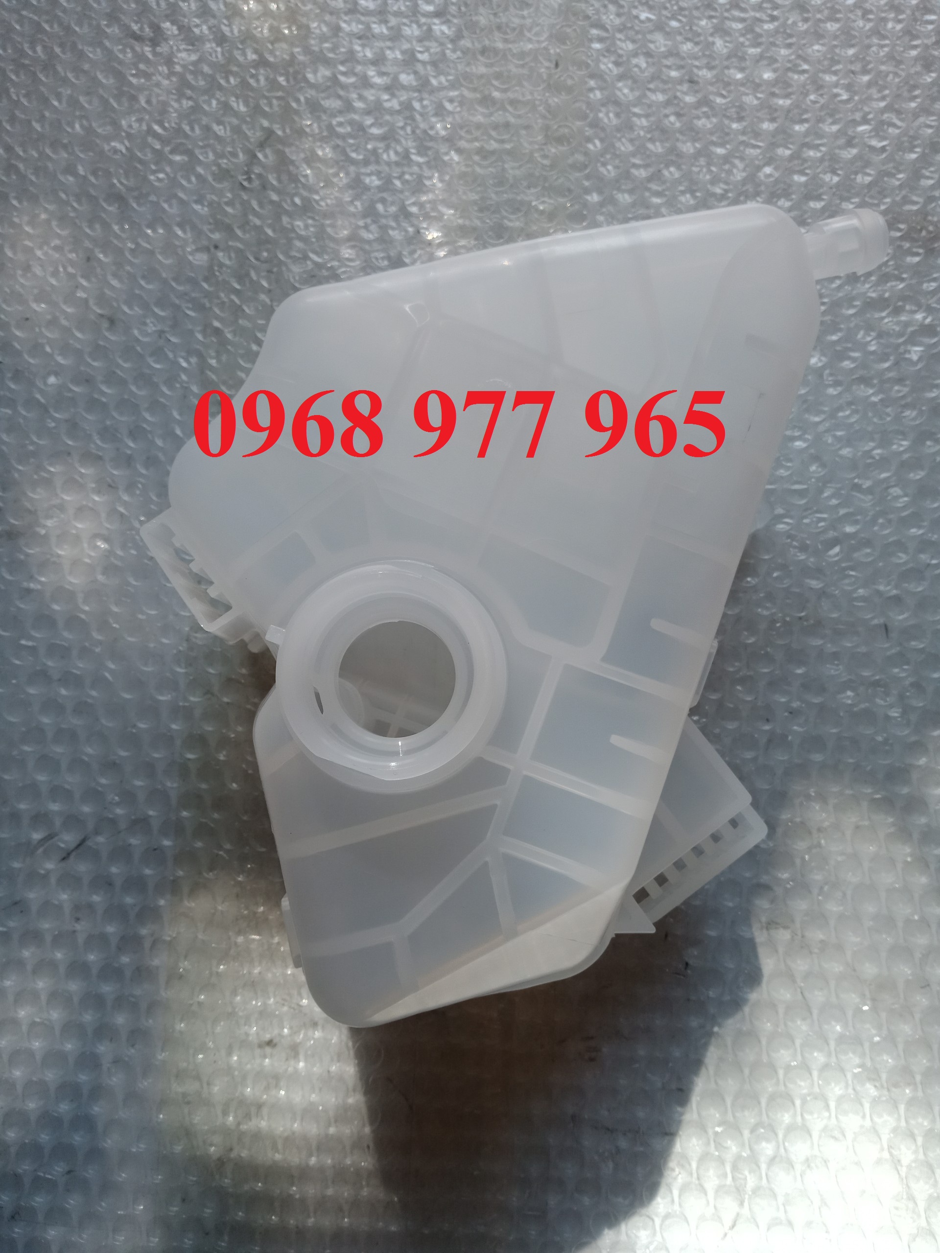 Bình nước phụ Fiesta, Ecosport