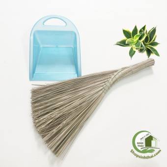 Chổi rễ mini - chổi chà - chổi xương - chổi dừa quét sân mini