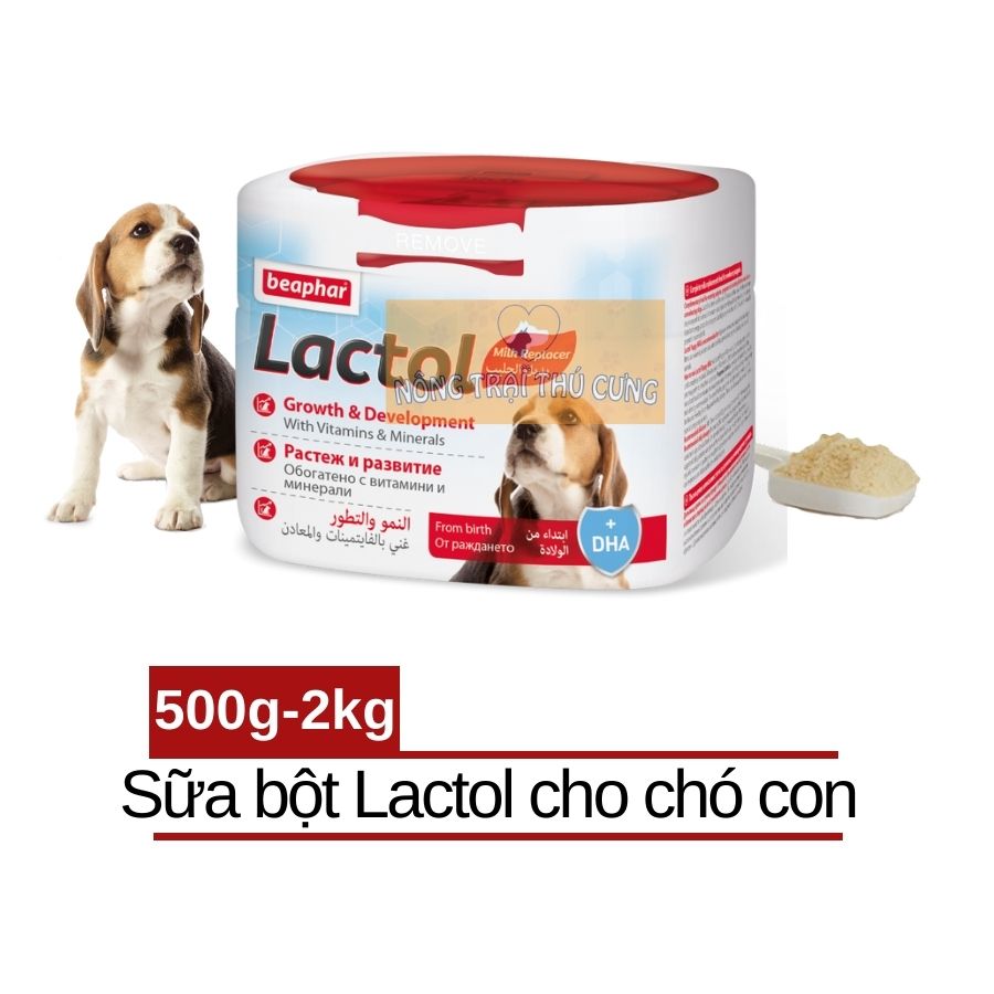 Sữa bột cho chó con beaphar lactol puppy milk -