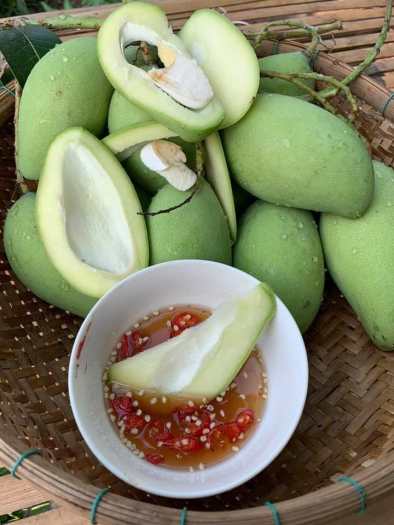 Xoài Non Chấm Mắm Ruốc - Giòn Rụm - Tươi -Ngon ( Đặc sản vùng nam bộ )