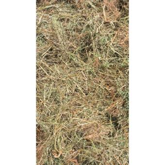 Diệp hạ châu 0.5kg (Cây cam kiềm, cây chó đẻ, cây răng cưa) giúp hạ men gan, gan nhiễm mỡ