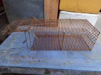 Lồng bắt chuột loại đại có khóa chặn cửa 36 cm