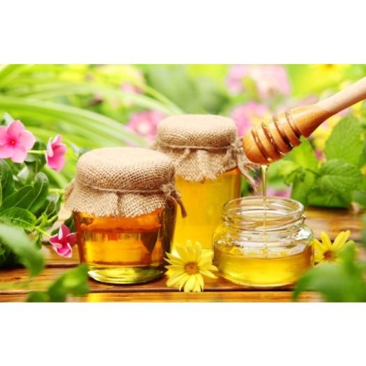 Mật ong bạc hà Hà Giang nguyên chất 100