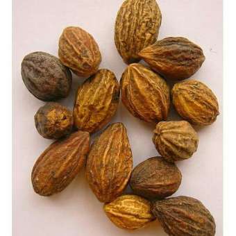 Quả kha tử 100g.