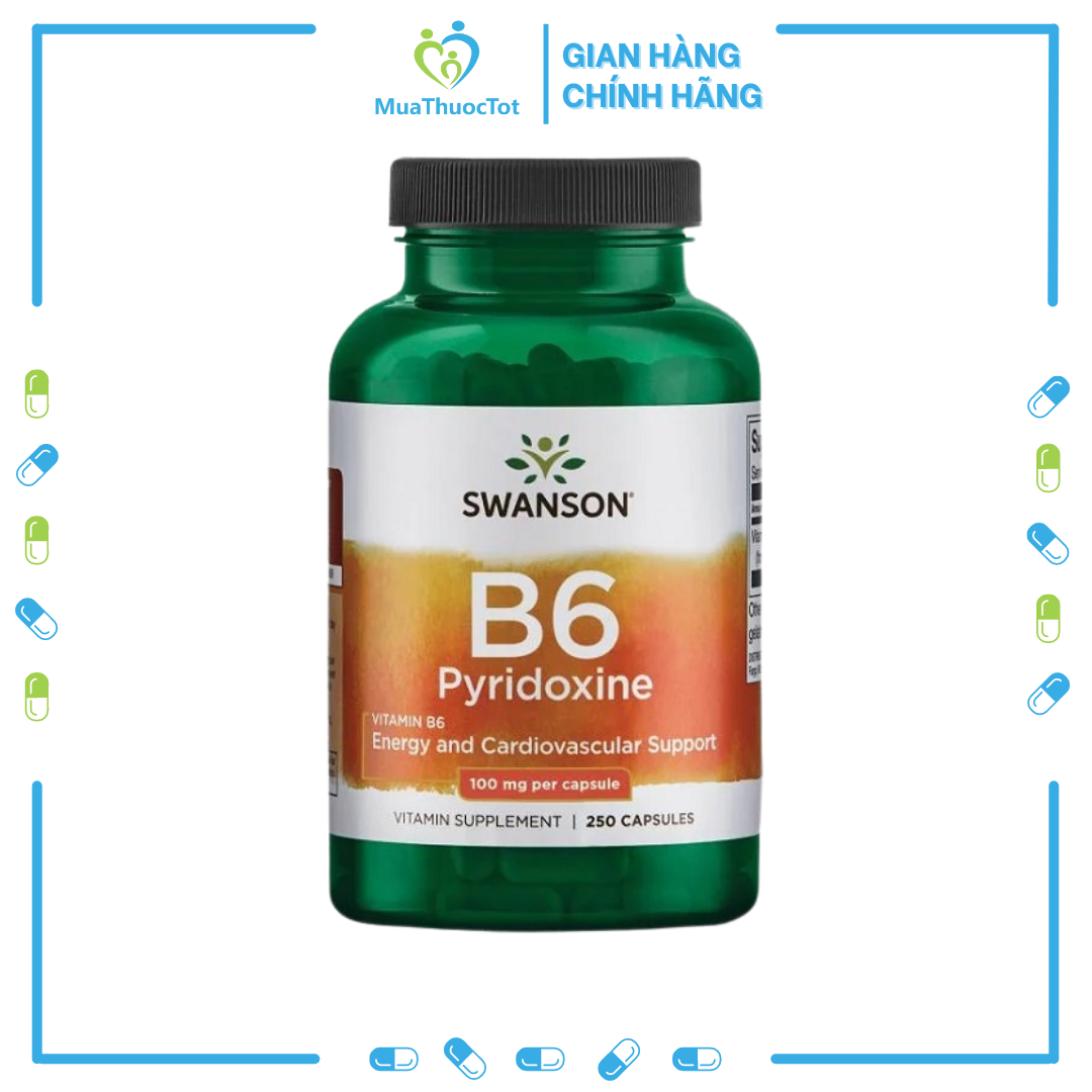 Viên Uống Bổ Sung Vitamin B6 Swanson Vitamin B6 Pyridoxine 100mg 250 Viên