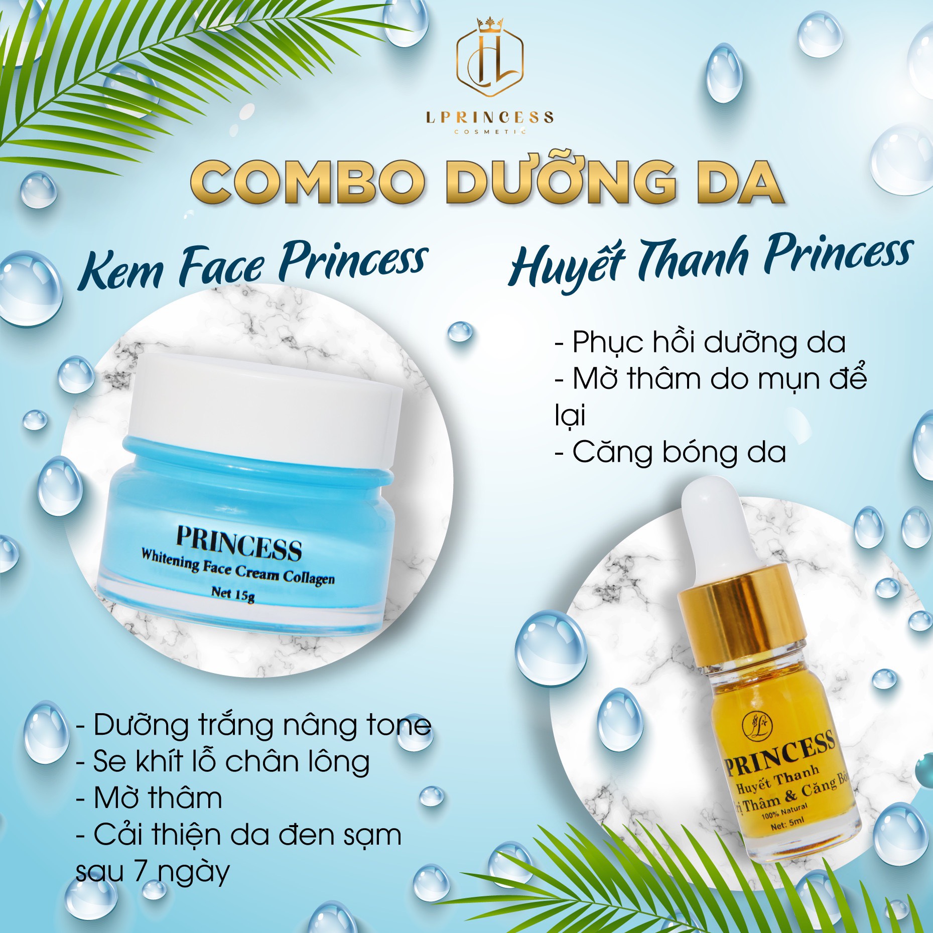 Princess giá rẻ Tháng 10,2023|BigGo Việt Nam