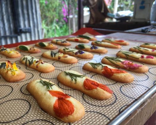 Bánh Lưỡi Mèo Thảo Mộc - 250g