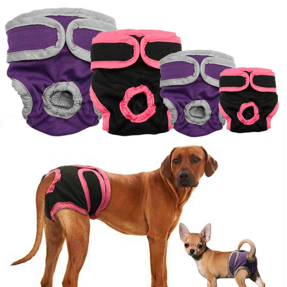 pants for female dogs