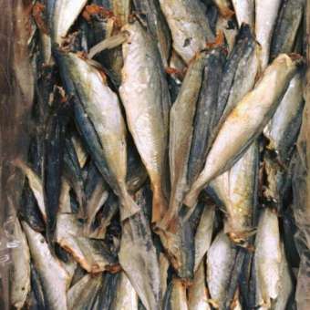 1kg cá nục khô xuất khẩu