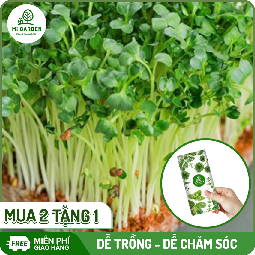 [MUA 2 TẶNG 1] Hạt giống Rau mầm củ cải trắng Mi Garden, hạt giống dễ trồng, dễ chăm sóc, 100% nảy mầm, thu hoạch sau 3-5 ngày, túi 15G