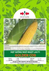 Hạt giống Bắp Mỹ – Ngô ngọt lai F1 Golden COB ( 1 gói nữa kg )