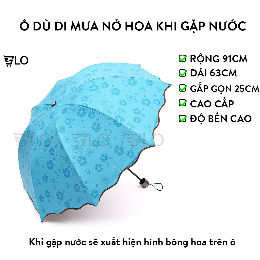 Dù đi mưa nở hoa khi gặp nước