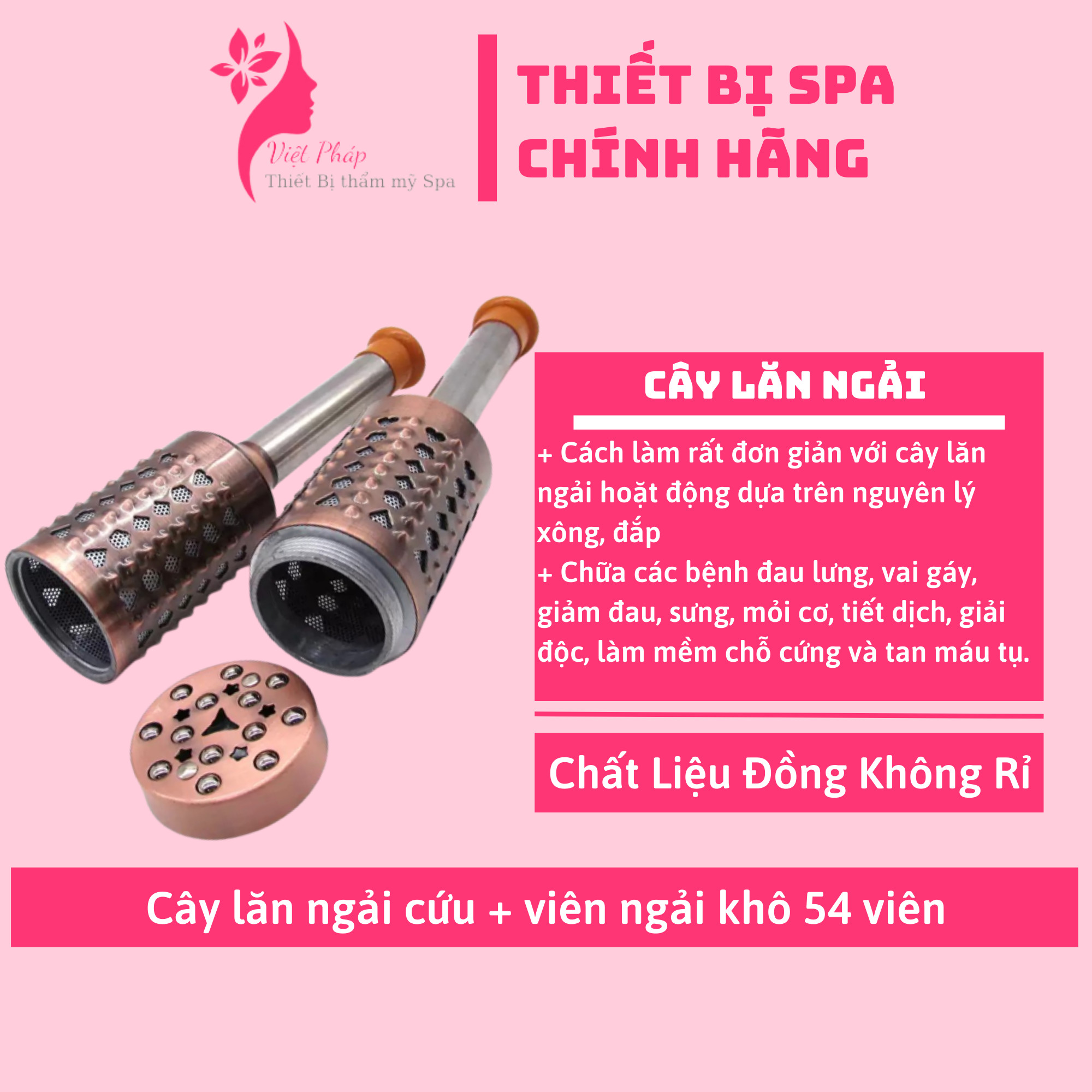 Cây lăn ngải cứu đồng đôi giúp thư giãn giảm đau nhức hiệu quả