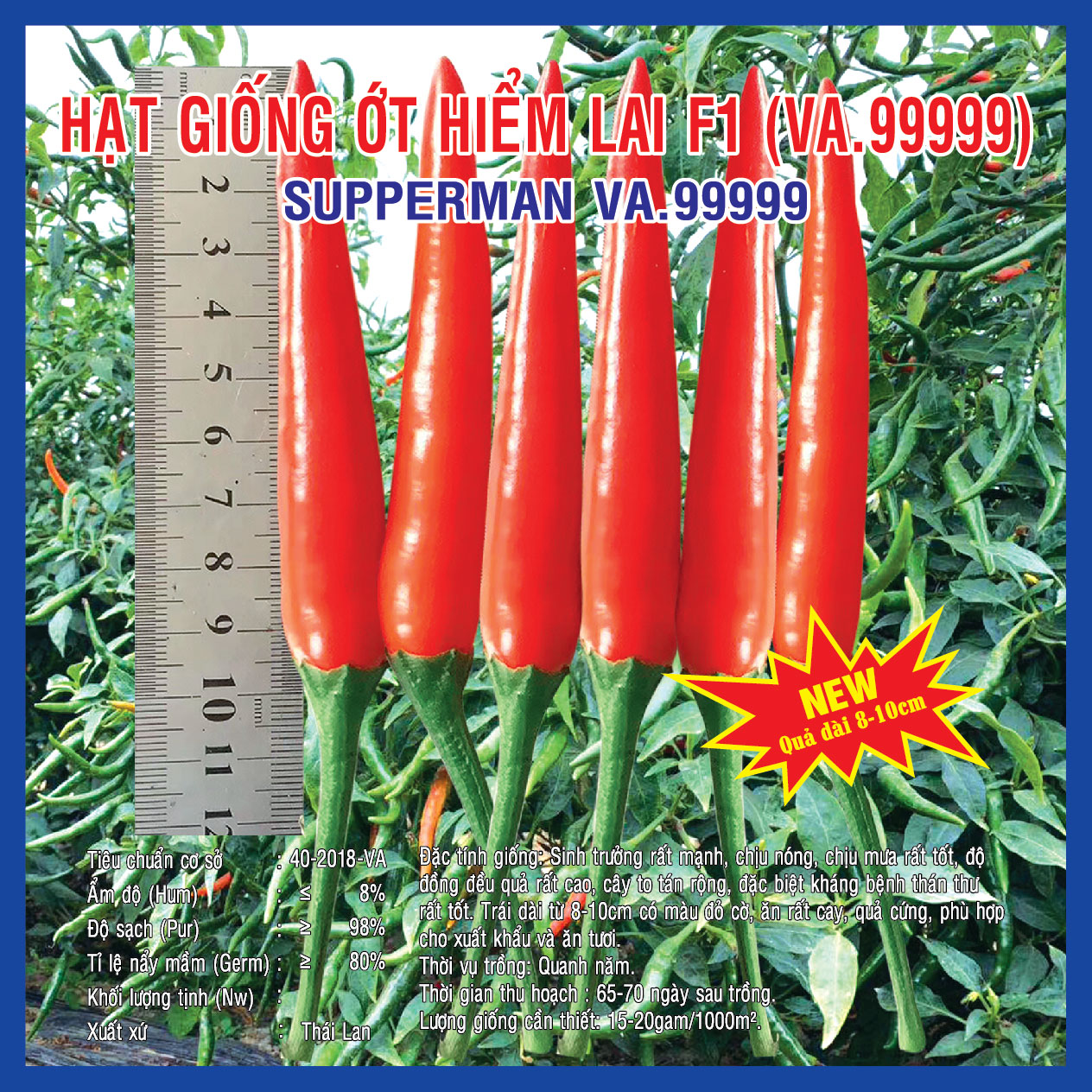 Hạt giống ớt hiểm lai f1 supperman – 5gram