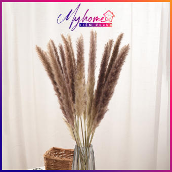 Bông hoa cỏ lau khô decor trang trí nội thất trang trí cửa hàng studio nhà hàng tiệc cưới sinh nhật 15 bông/bó My Home DN096