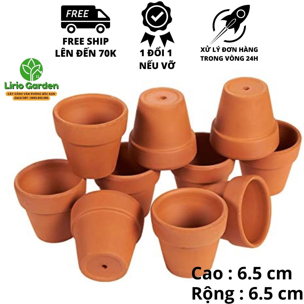 Combo 10 chậu đất nung trồng xương rồng , sen đá kích thước 6,5x6,5cm