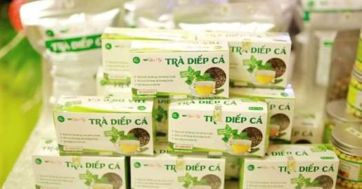 Trà diếp cá Lụa Vy