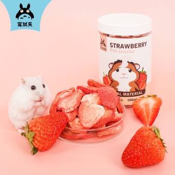 Dâu tây sấy nguyên trái cho hamster