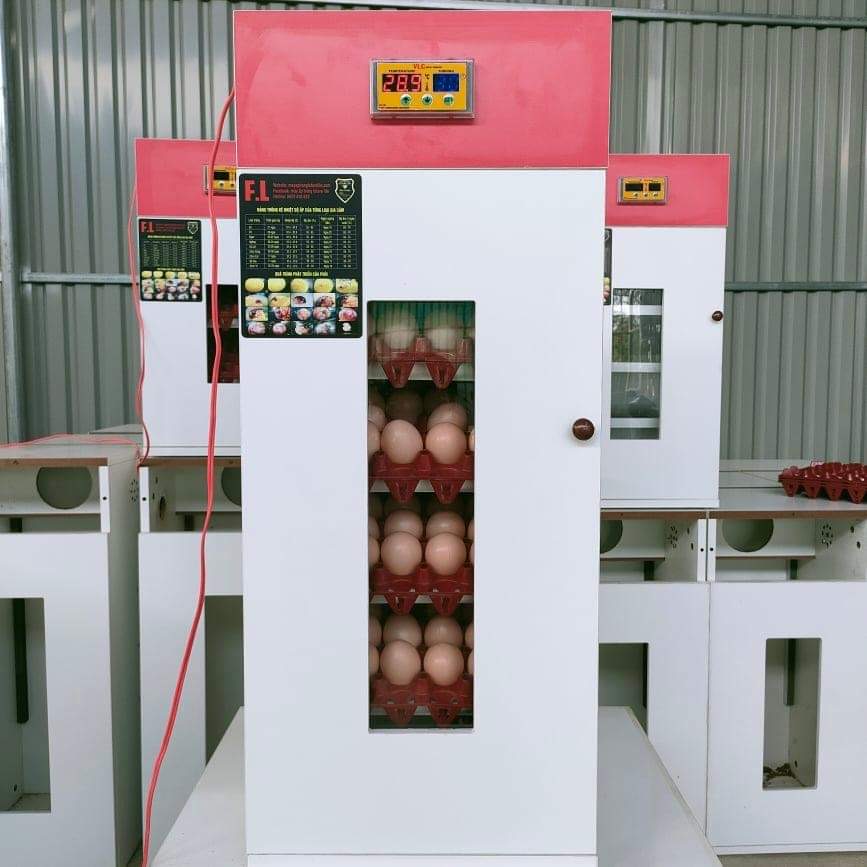 máy ấp trứng mini futu life 120 trứng