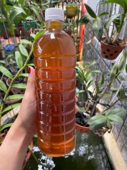 Mật ong hoa cà phê nguyên chất 1 lít dak lak