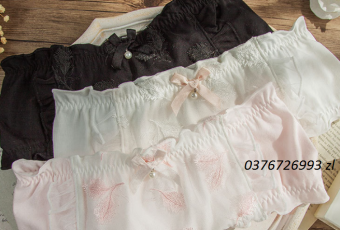 Quần Lót Nữ Cotton Phủ Ren Thêu Xuất Đông Âu ( Q111 ).