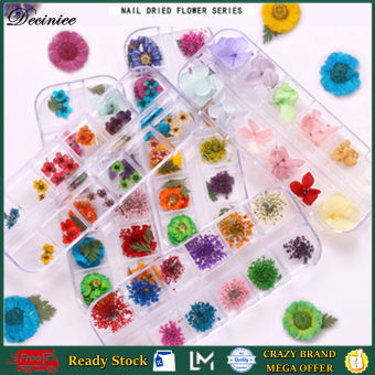 1 Hộp Hoa Khô Làm Móng Nghệ Thuật 3D Hoa Khô Cho Móng Tay, Hoa Khô Nhỏ Dành Cho Nghệ Thuật Làm Móng Thiết Kế Nghệ Thuật Làm Móng Thật Ép Nhỏ