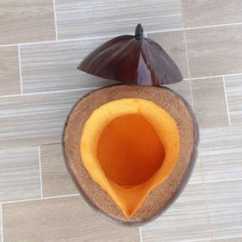 Bộ vỏ bình trà và bình trà cỡ lớn (khoảng 800-900ml)