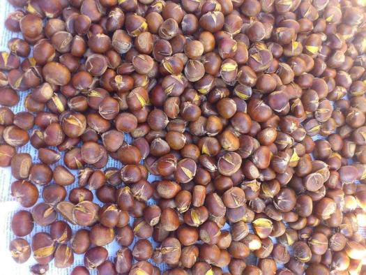 Hạt dẻ tươi Cao Bằng size 2.8mm