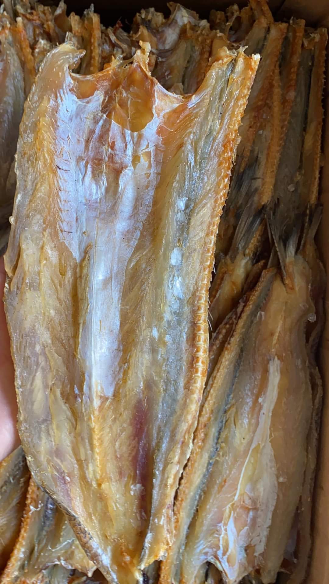 1kg cá mối thịt thơm ngon