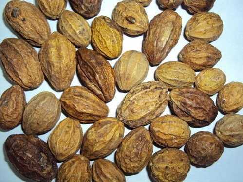 Trái chiêu liêu 55k/100g