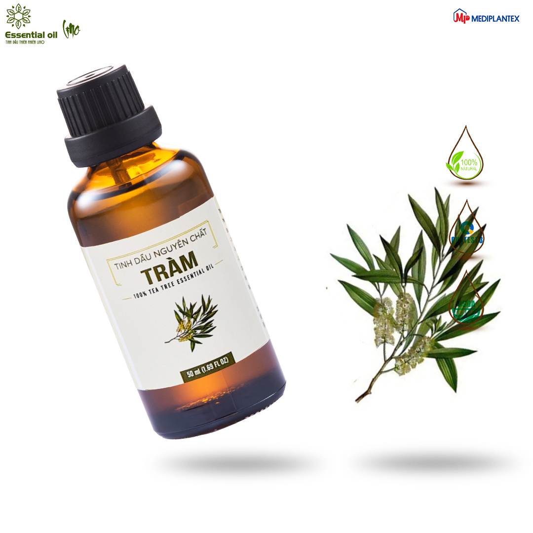Tinh dầu tràm trà LINO lọ 50ml, tinh dầu thiên nhiên nguyên chất, khử mùi, khử khuẩn có kiểm định